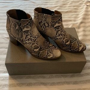 Snake Skin Booties